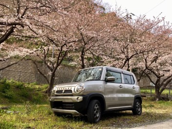 お花見ドライブ♪